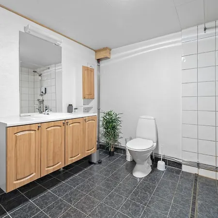 Large Bright Modern W/parking Apartment