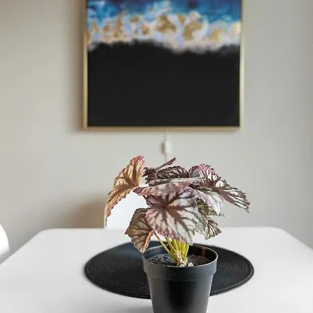Large Bright Modern W/parking Apartment Tromso